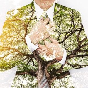 Sustainable Fashion NWT, NWOT, EUC, & GUC